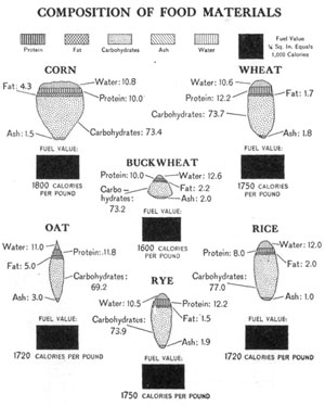 Illustration: Composition of food materials